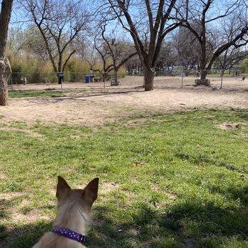 Norwood Estate Dog Park